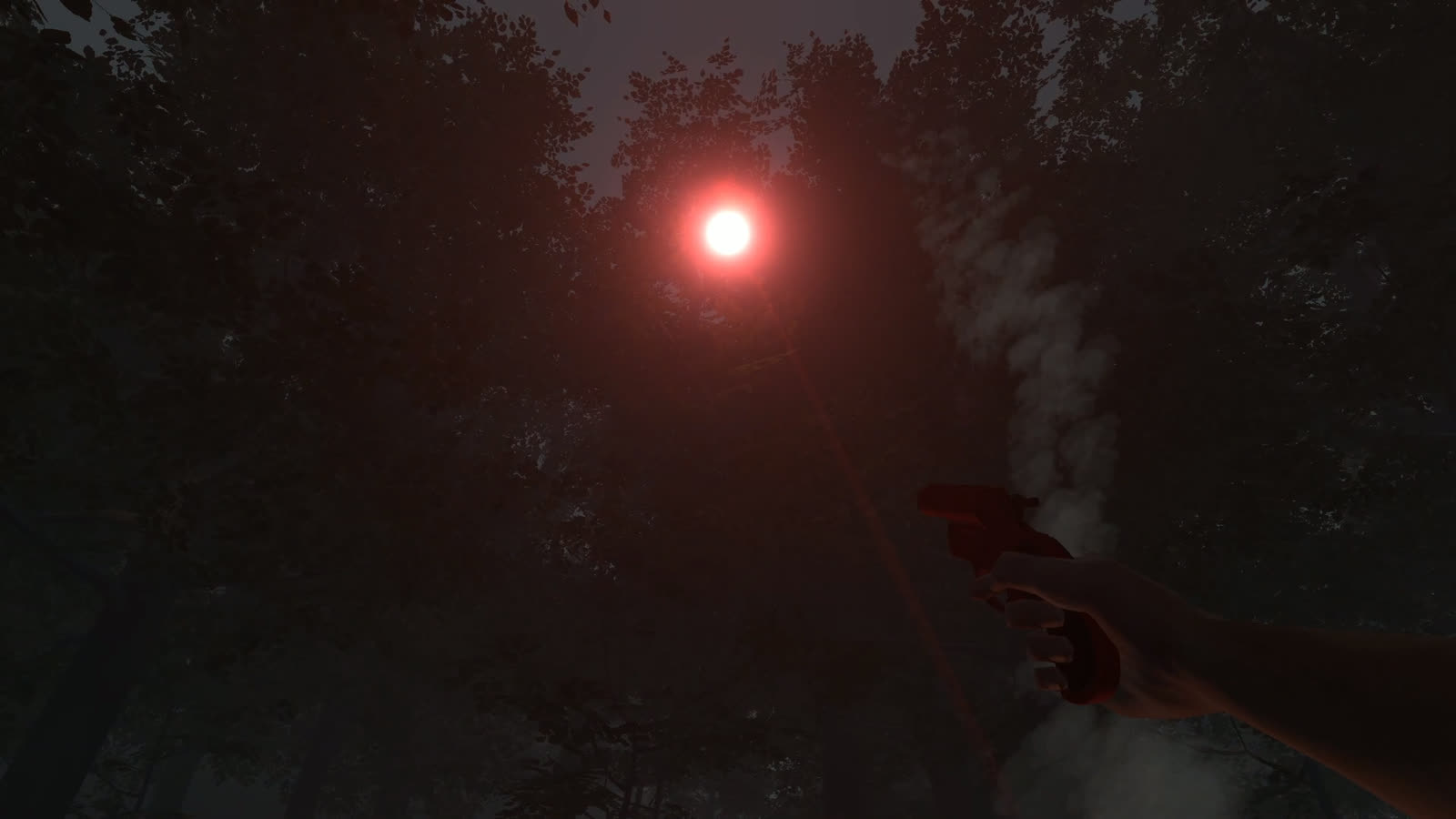 A red flare rising through the trees at night